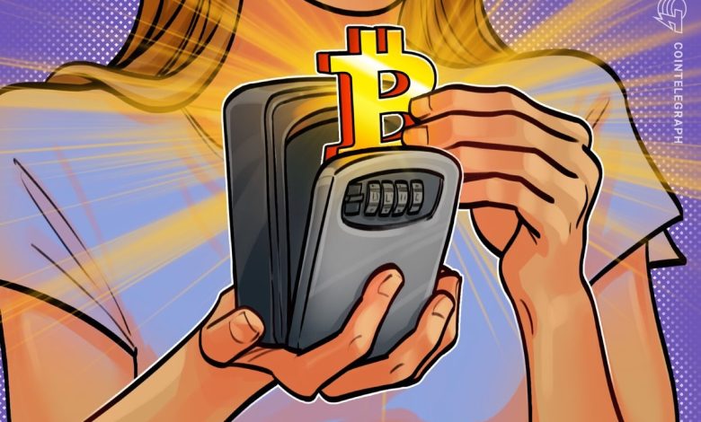 Bitcoin fractal, boost in HODLers hints at rally to $120K