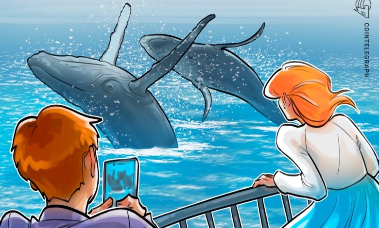 Bitcoin Whales Buy Ether After ETH Price Hits Record Highs