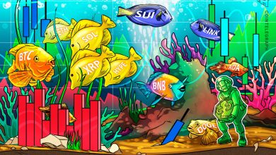 Weak PPI Leads To Bitcoin, Altcoin Rally