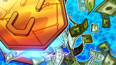 Crypto VCs Are Becoming More Conservative: Exec