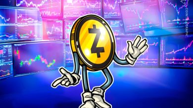 How Low Can Zcash Price Go After ZEC’s 30% Drop From November's Peak?